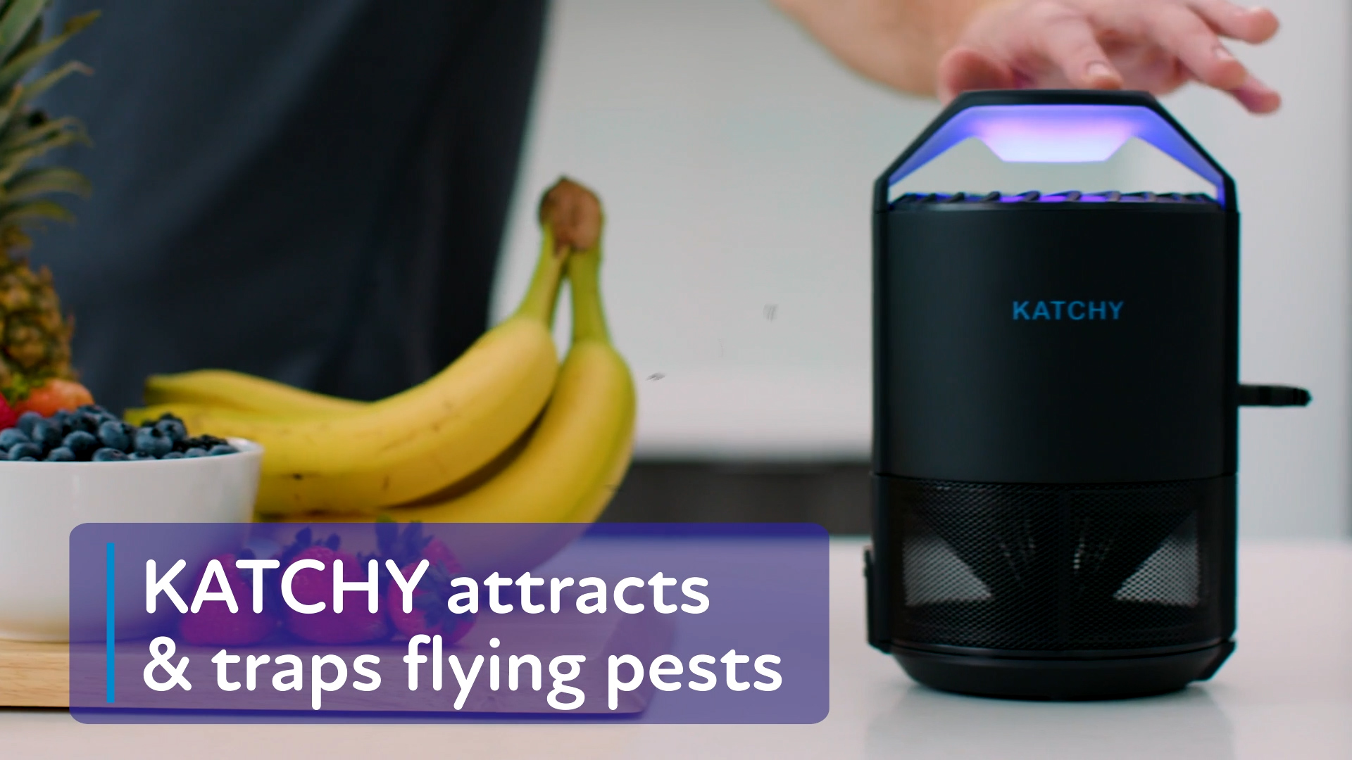 Amazon.com : Katchy Midnight Indoor Insect Trap – Auto/Manual Mode